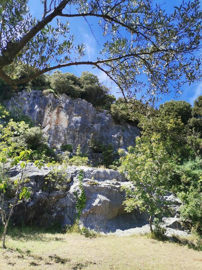 Apartma Cave With Free Parking